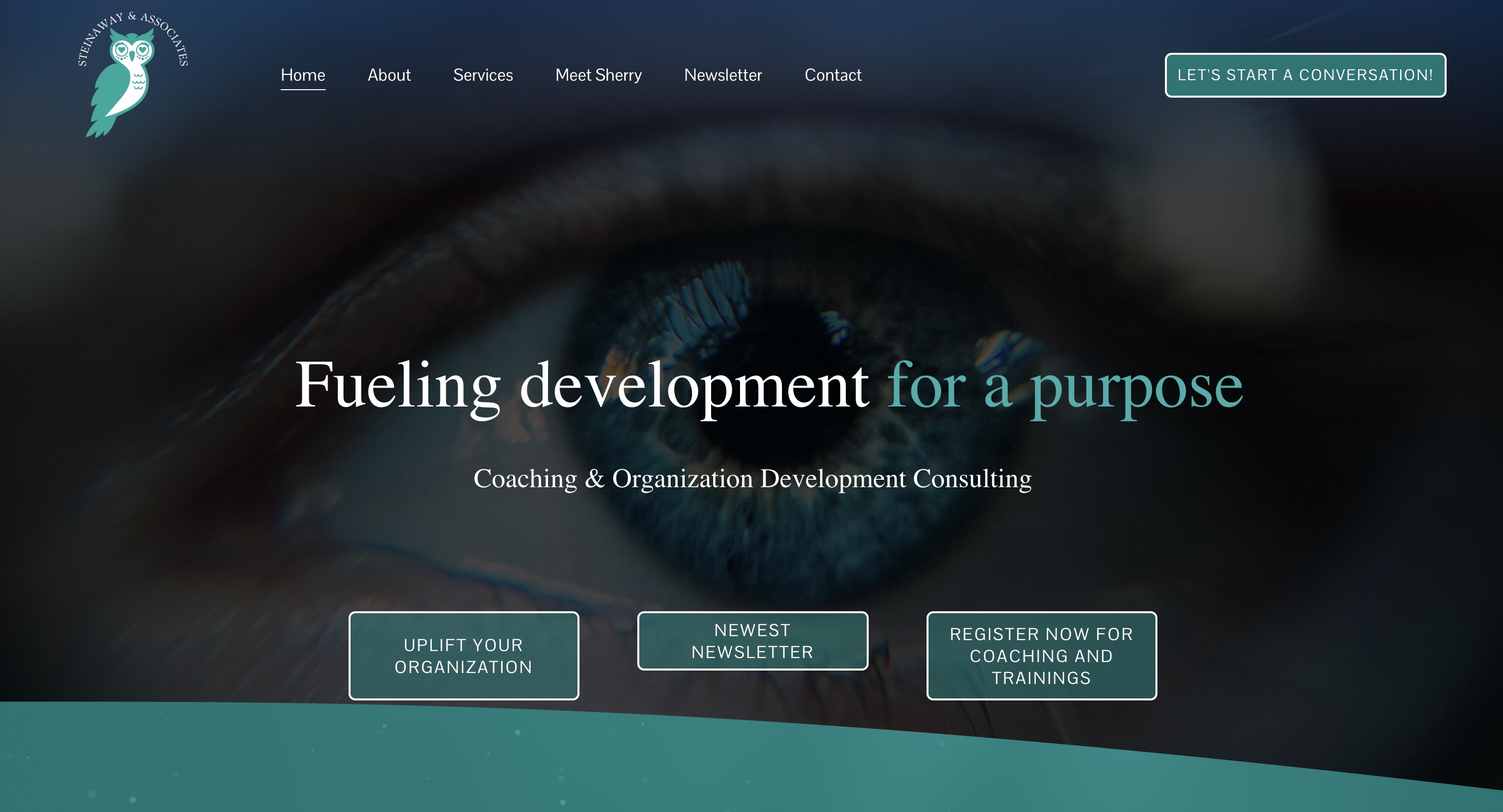 Steinaway & Associates Website